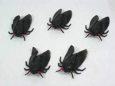 Cicada (5in1) toys