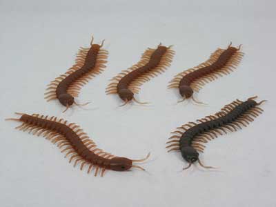 Centipede(5 in 1) toys