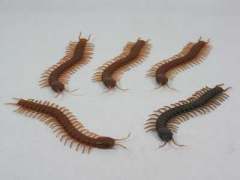 Centipede(5 in 1)