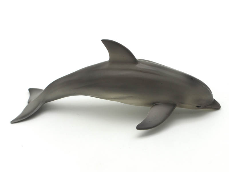 Dolphin toys