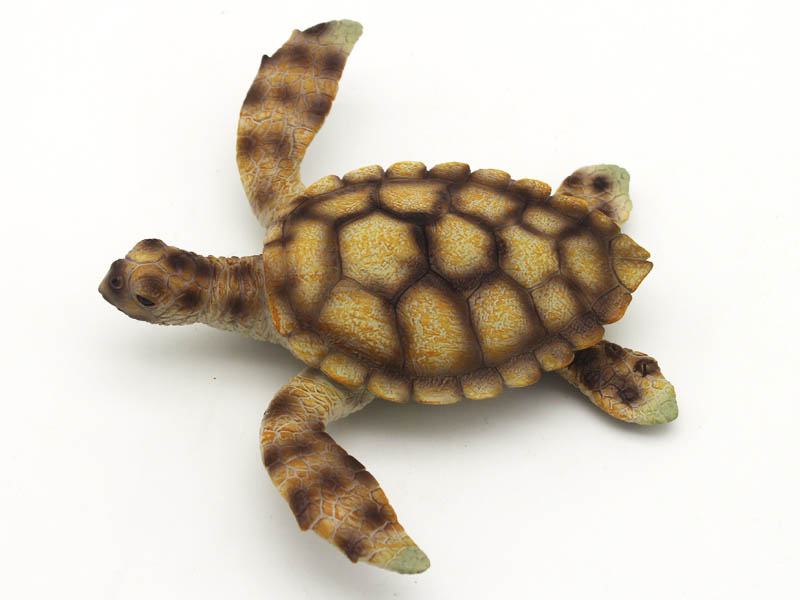Sea Turtle toys
