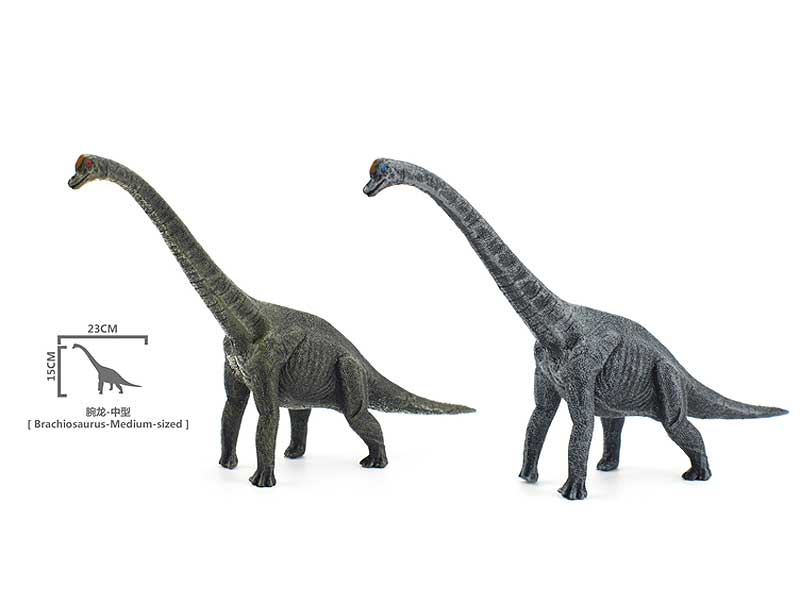 Brachiosaurus(2C) toys