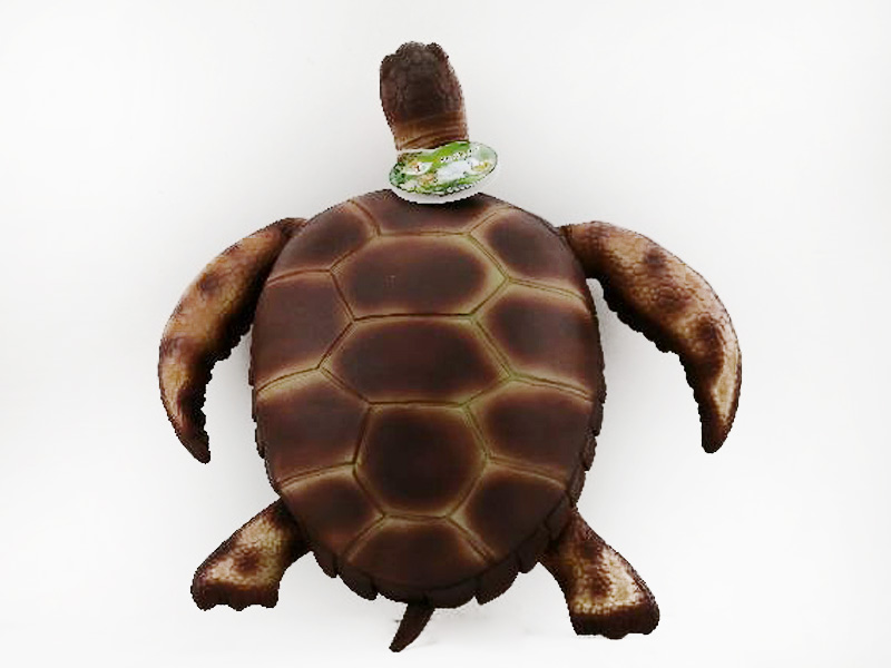 Sea Turtle W/IC toys