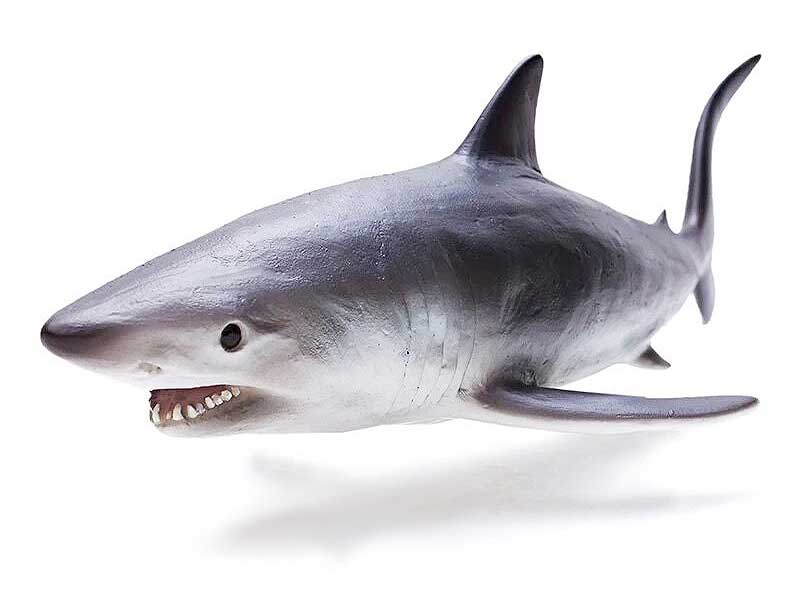 Grey Whale Shark toys