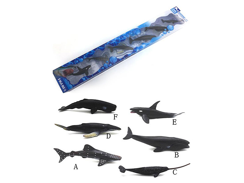Whale(6in1) toys