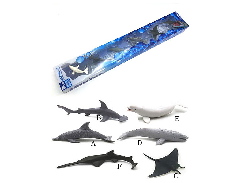 Dolphin(6in1) toys