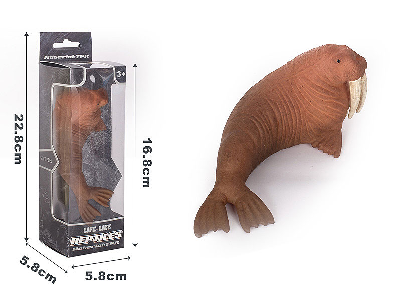 Walrus toys