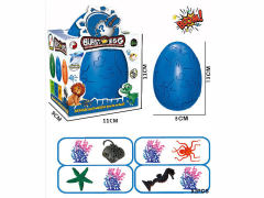 Marine Animal Eggs