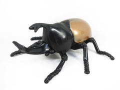 Beetle W/L