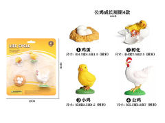 Rooster Growth Cycle toys