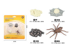 Spider Growth Cycle