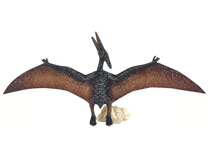 Pterosaur toys