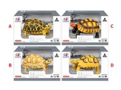 Tortoise(4S) toys