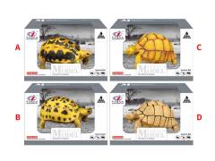 Tortoise(4S)