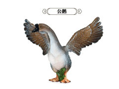 Male Goose