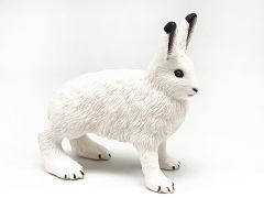 Arctic Rabbit toys