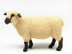 Shropshire Sheep toys