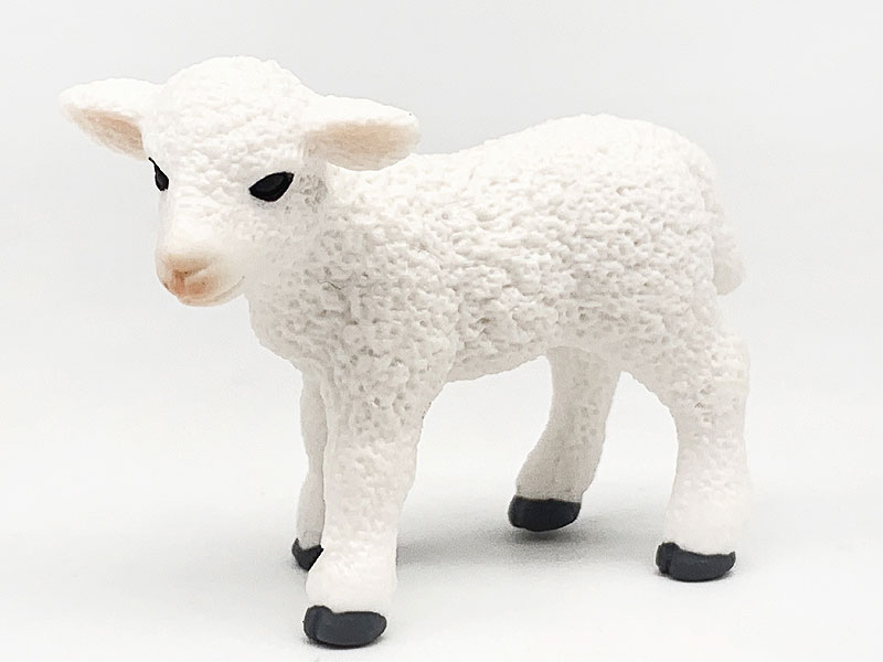 Little Sheep toys