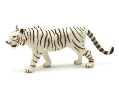 Male White Tiger
