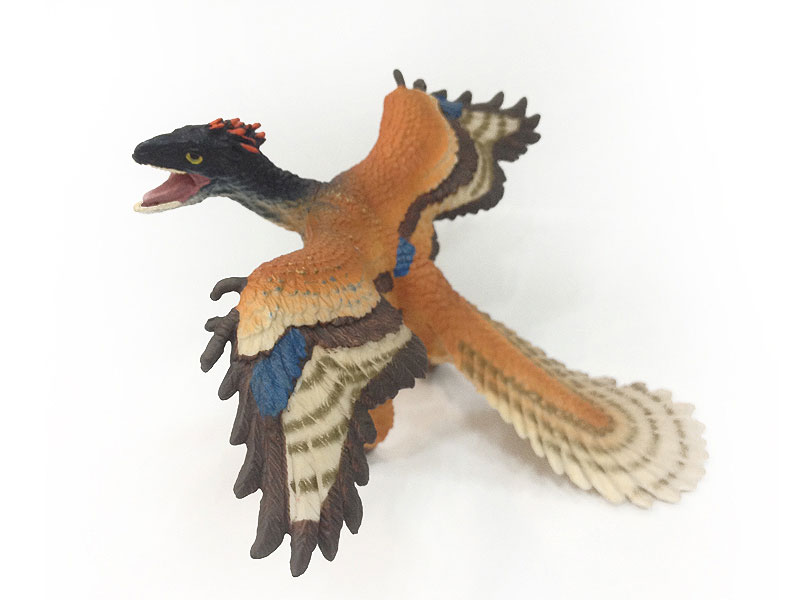 Archaeopteryx toys