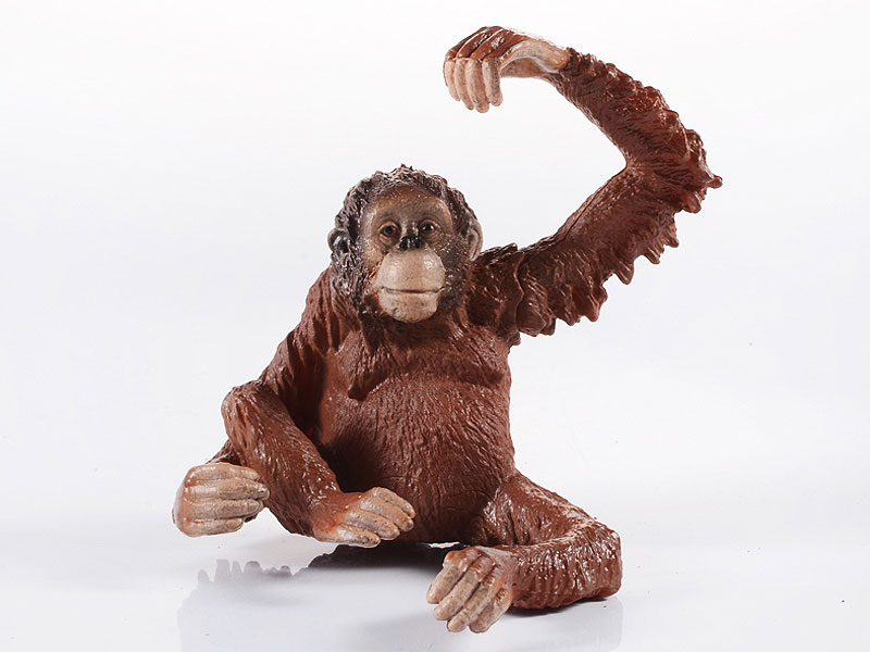 Female Orangutan toys