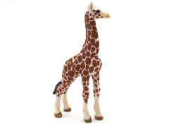 New Giraffe