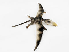 pterosaur toys