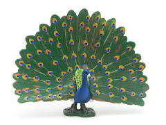 Peacock toys