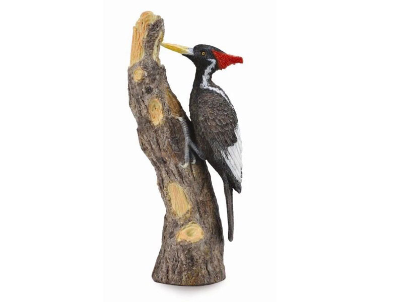 Woodpecker toys