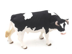 Holstein Bull