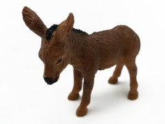 Donkey Cub