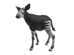 Okapi Cub