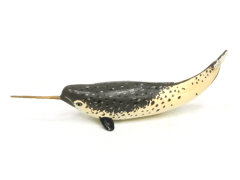 Small Narwhal