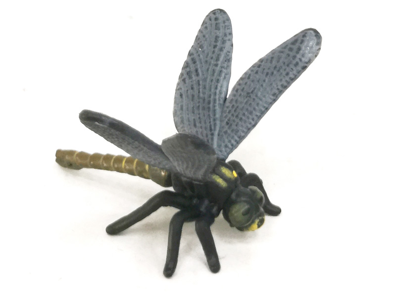 Dragonfly toys