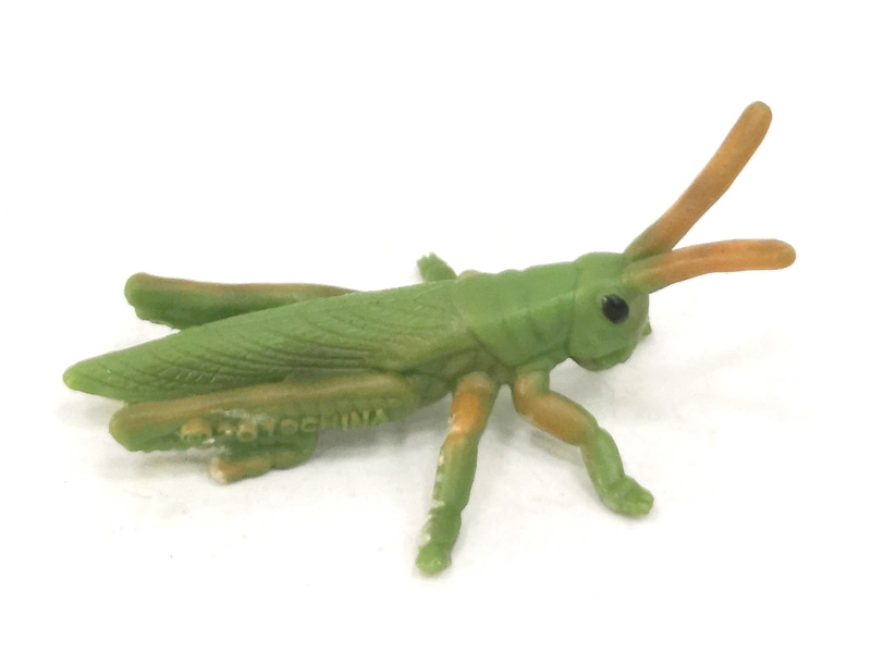 Grasshopper toys