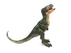 Tyrannosaurus toys