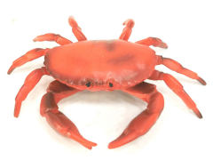 Red Crab toys