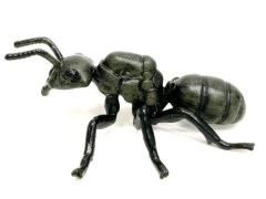 Black Ant toys