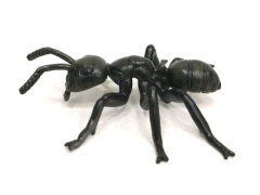 Black Ant toys