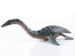 Plesiosaurus