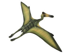 Pterosaur