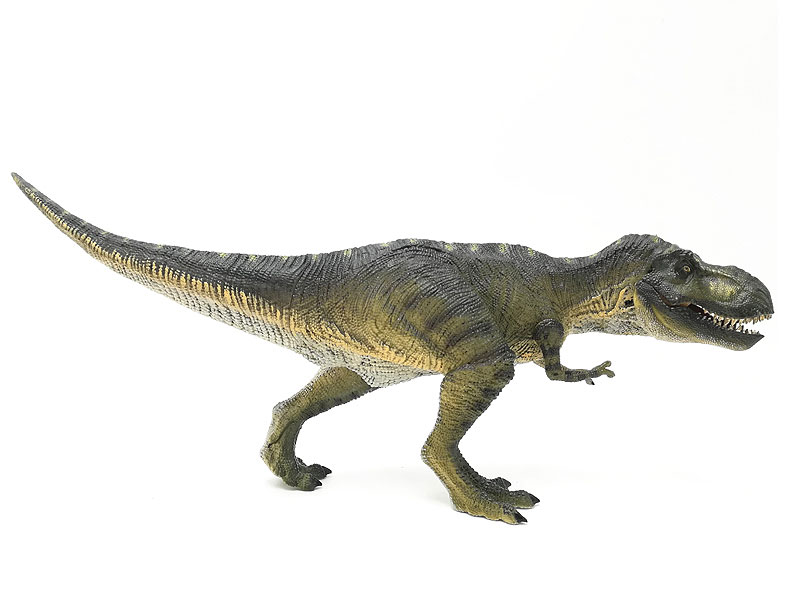 Tyrannosaurus Rex toys