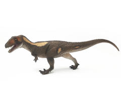 Carcharodontosaurus toys