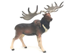Bighorn Deer