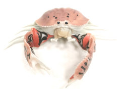 Steamed Bread Crab