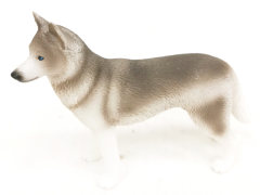 Husky