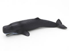 Sperm Whale toys
