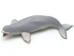 Beluga toys