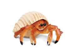 Parasitic Crab
