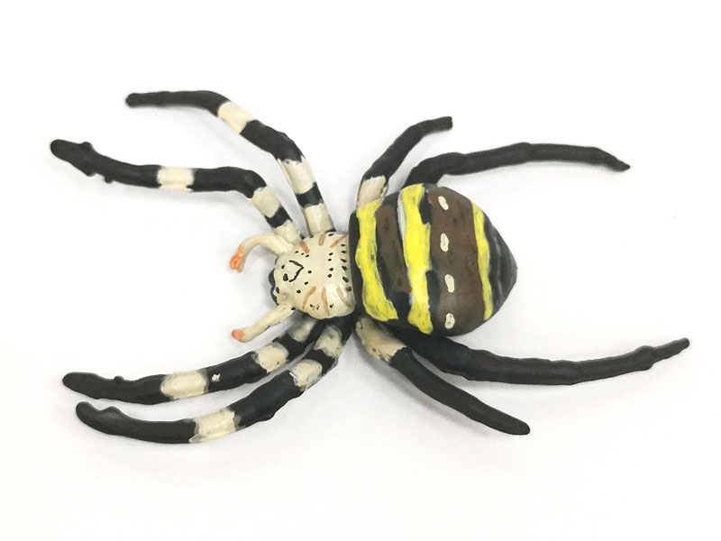 Argiope Amoena toys